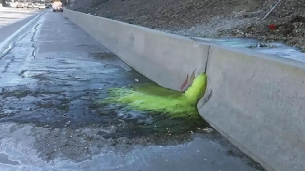 Funding Approved to Remove Green Goo