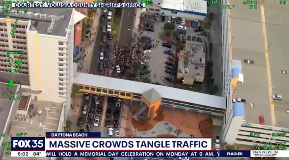 A Massive Crowd Gathered As Someone Threw Cash From Their Sunroof