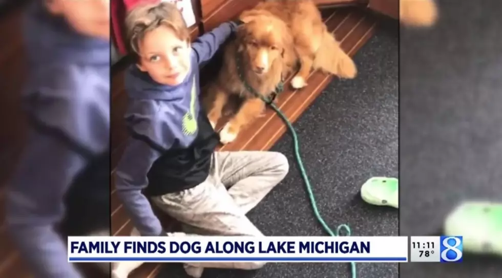 Dog Rescued From Lake Michigan by Family out Boating