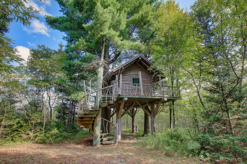 Escape to Your Own Tree House on 780 Acres Up North for $1.4M [PHOTOS]