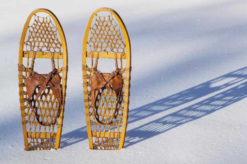 Enjoy All The Snow In Michigan Parks Via Snowshoes