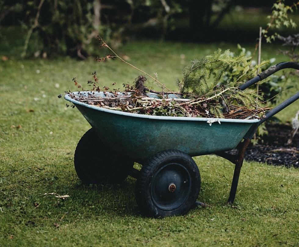 GR Yard Waste Drop-Off Opens, Curbside Collection Begins April 5