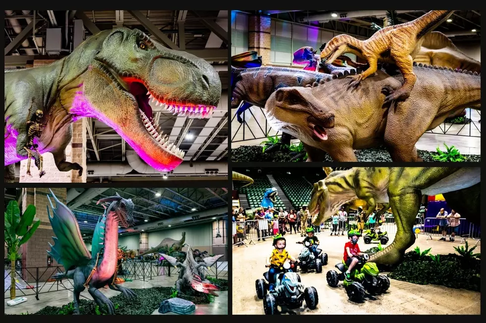 Roam with Colossal Dinosaurs and Dragons in Grand Rapids Next Week