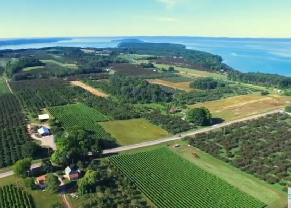 Michigan Location in the Running For &#8216;Best Wine Region&#8217; in US