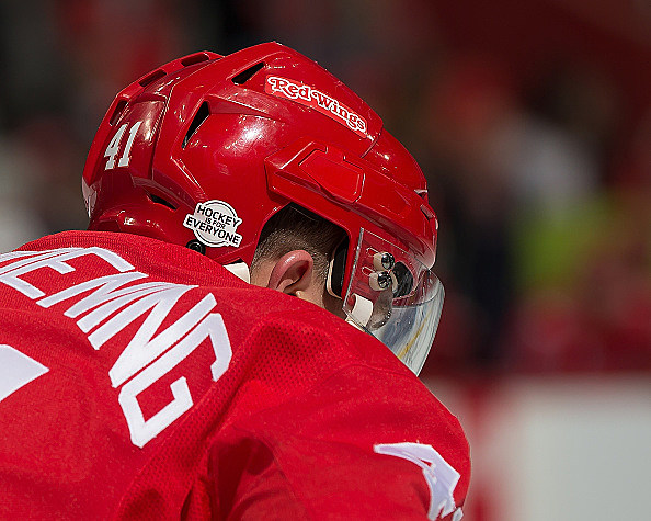 Detroit Red Wings Announce Meijer as Helmet Entitlement Partner, with Logo  to Appear on Player Helmets this Season - Ilitch Companies News Hub