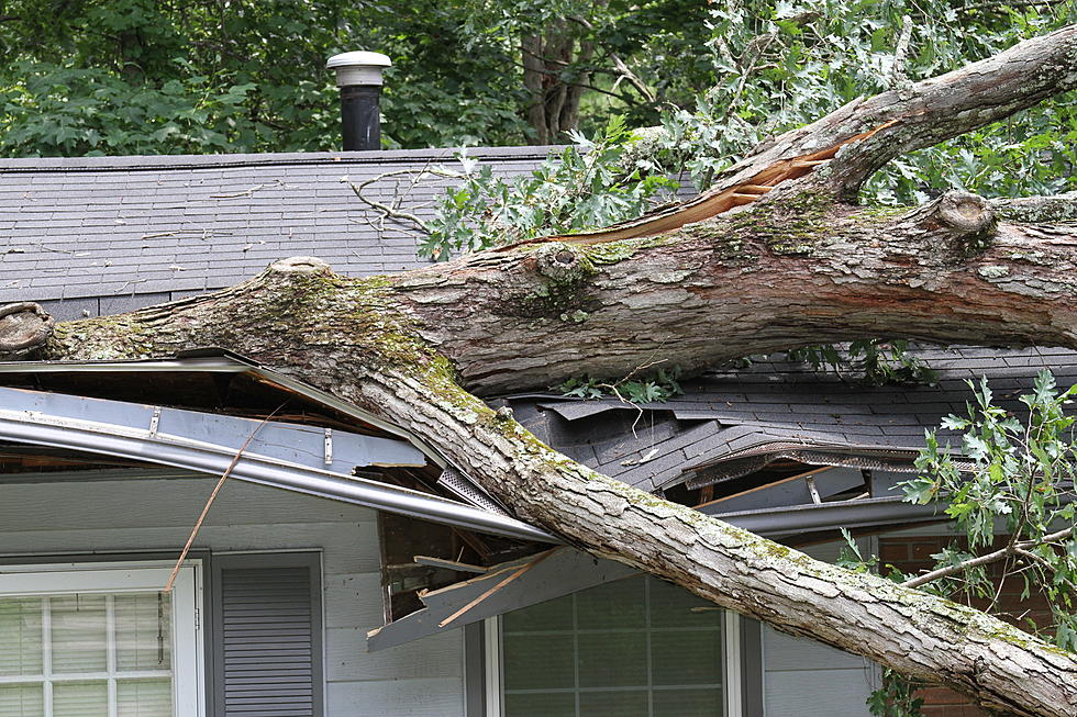 Storms Damage School & Leave Thousands Powerless In West Michigan