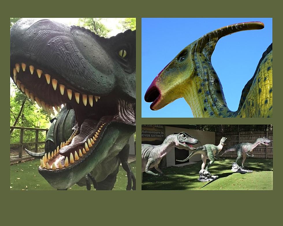 Life-size Dinosaur Exhibit &#8216;Zoorassic Park&#8217; Opens at Binder Park Zoo This Week