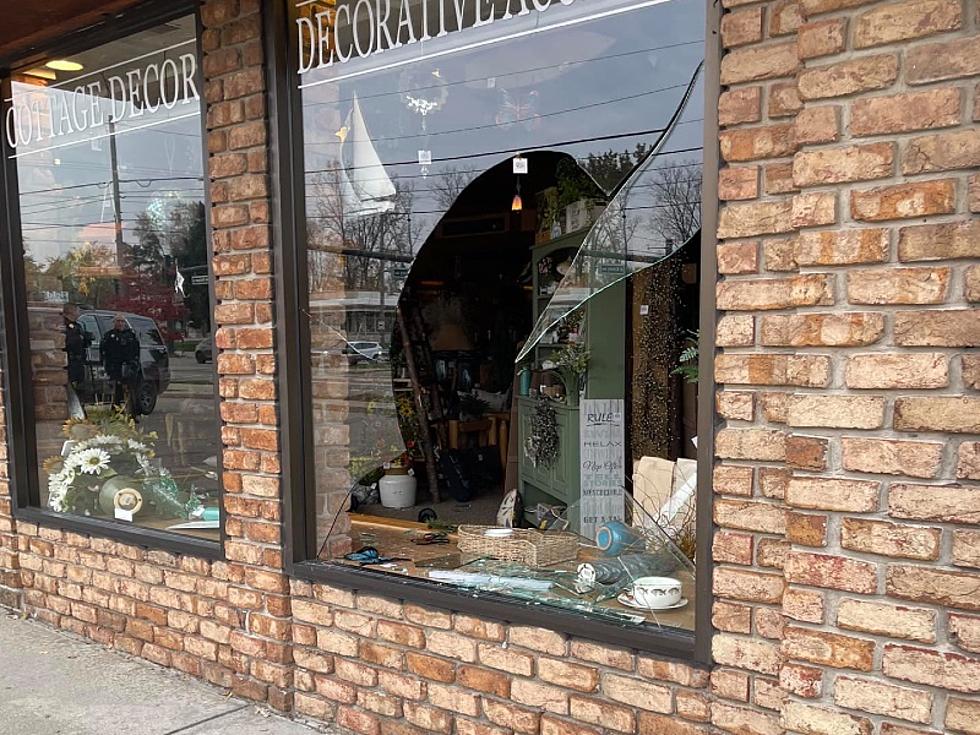 Deer Couldn’t Wait for Black Friday Deals, Busts Through West MI Storefront