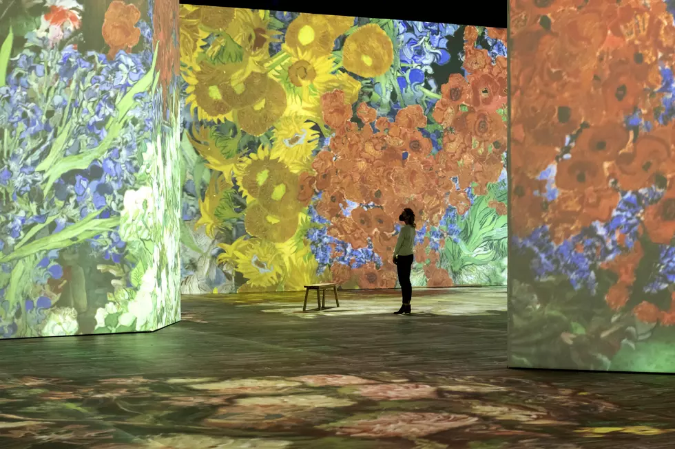 Beyond Van Gogh - San Diego - January 13, 2022