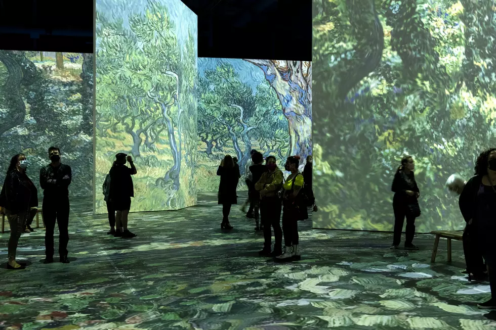Beyond Van Gogh - San Diego - January 13, 2022