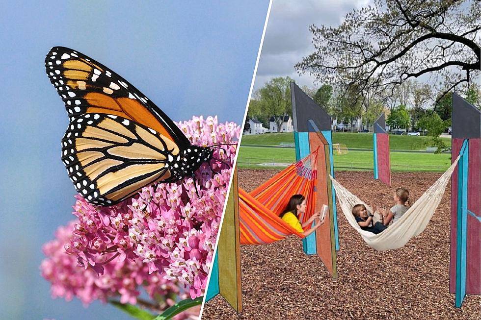 Briggs Park Getting New Butterfly Garden, Hammock Grove