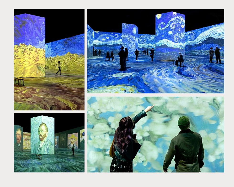 An Immersive Vincent Van Gogh Art Exhibit is Coming to Grand Rapids [PHOTOS]