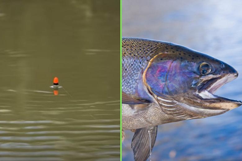Easy Way To Catch Trout Using Water Bobbers & Artificial Flies