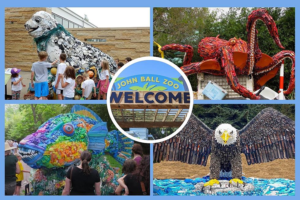 LOOK: Larger-Than-Life Sea Sculptures On Display at John Ball Zoo Starting This Week