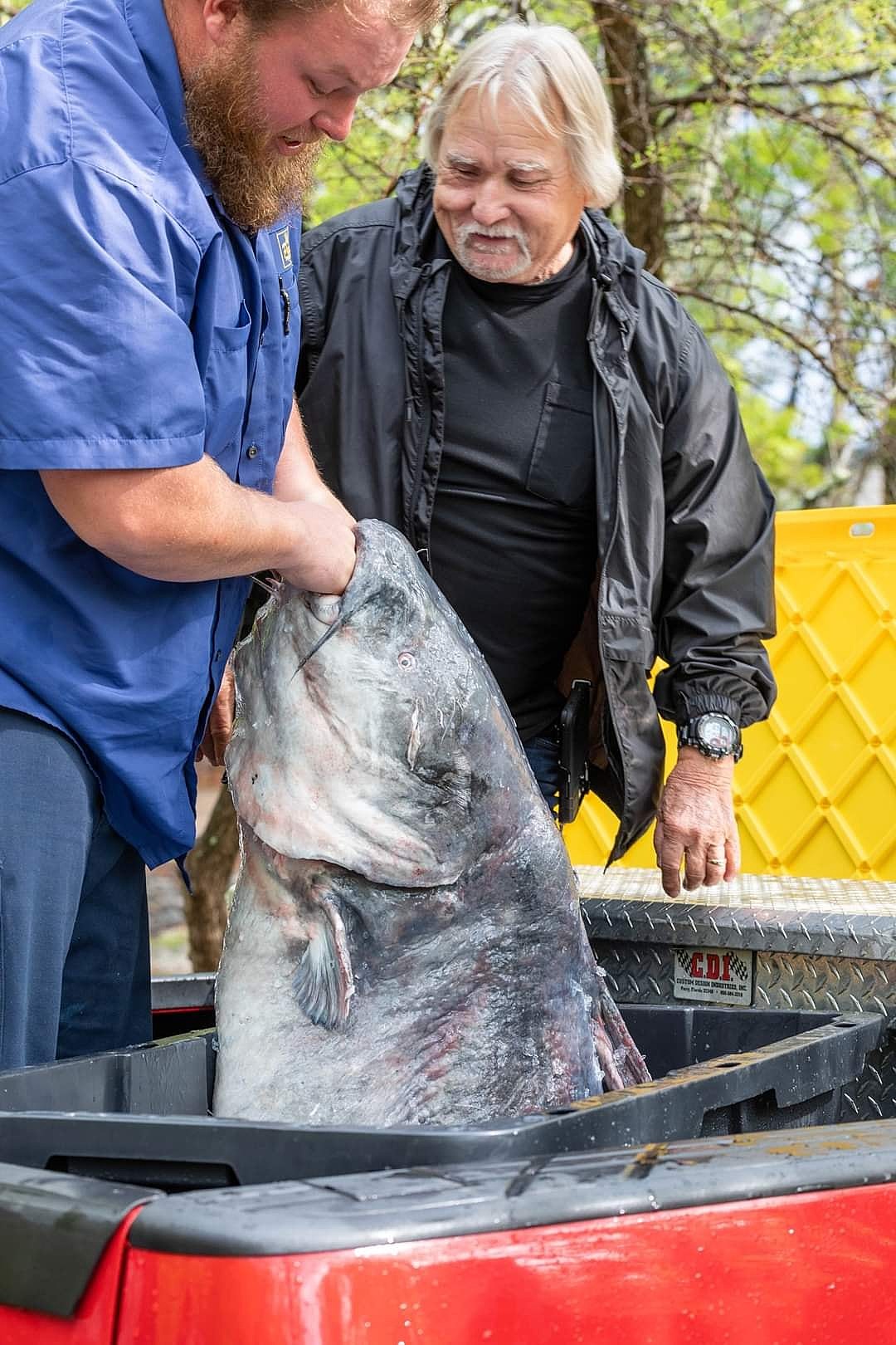 Holy Catfish Batman, A 131 Pound Catfish Has Been Caught