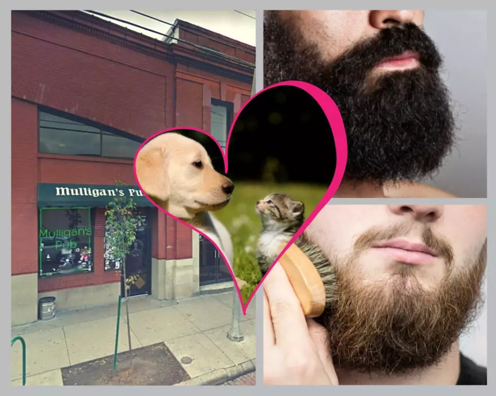 Grand Rapids Bar Hosting Beard Contest to Benefit Humane Society