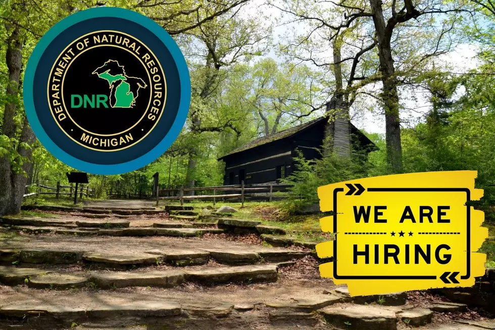 Like The Outdoors? How About a Job Working For The DNR?