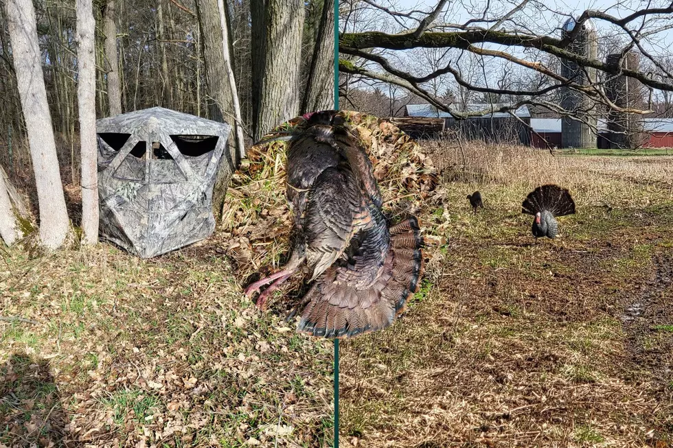 Here&#8217;s Tommy&#8217;s Turkey Hunting Setup for Michigan&#8217;s 2022 Season