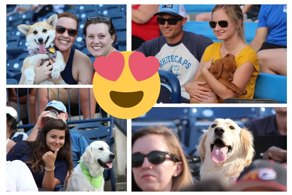 West Michigan Whitecaps Dog Day is Sept. 5 at LMCU Ballpark 