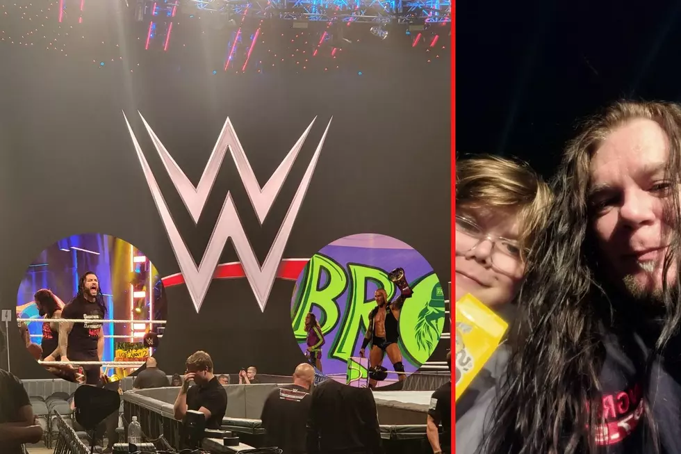 Want To Have Fun With Your Family? How About WWE Wrestling?