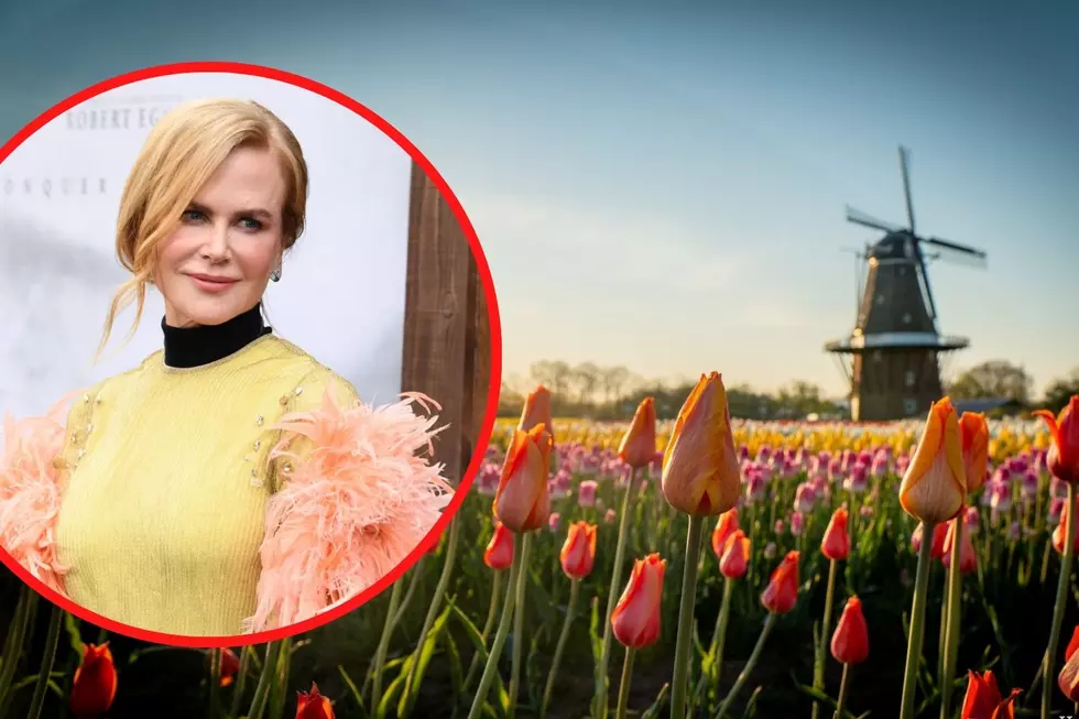Nicole Kidman Set to Star In, Produce Thriller about Holland, Michigan