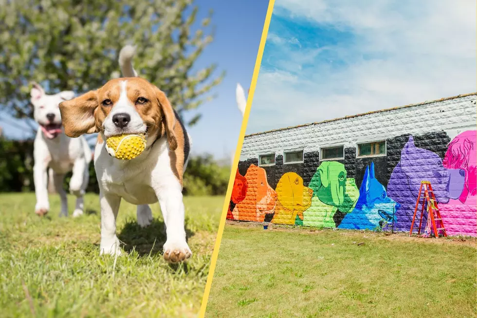 New Public Dog Park Opening on Grand Rapids&#8217; West Side