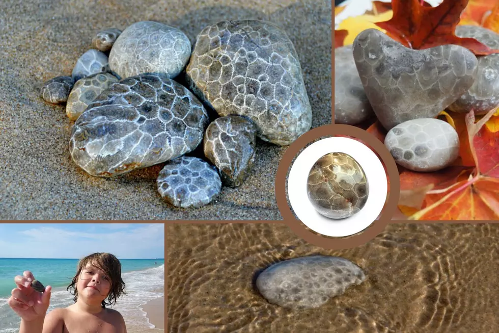 You Ever Find One of The Elusive Petoskey Stones in Lake Michigan?