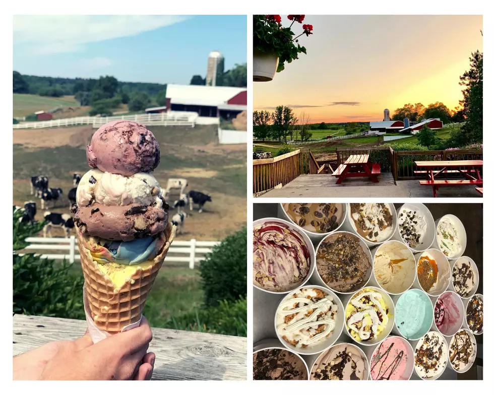 Is This the Best Ice Cream Shop in Michigan?