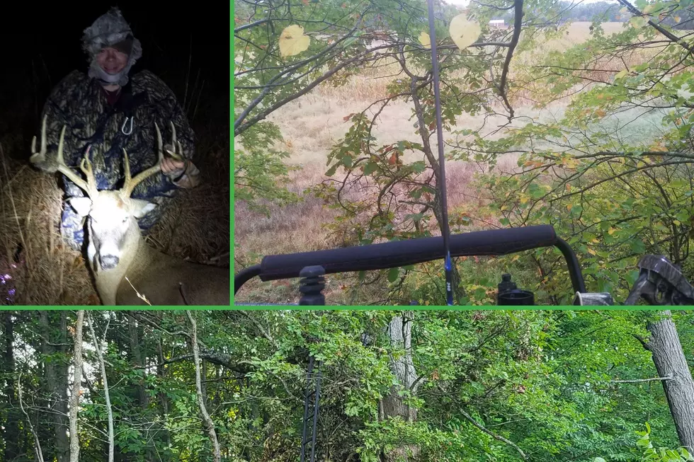 Michigan Archery Whitetail Deer Season Begins Saturday, Are You Ready?