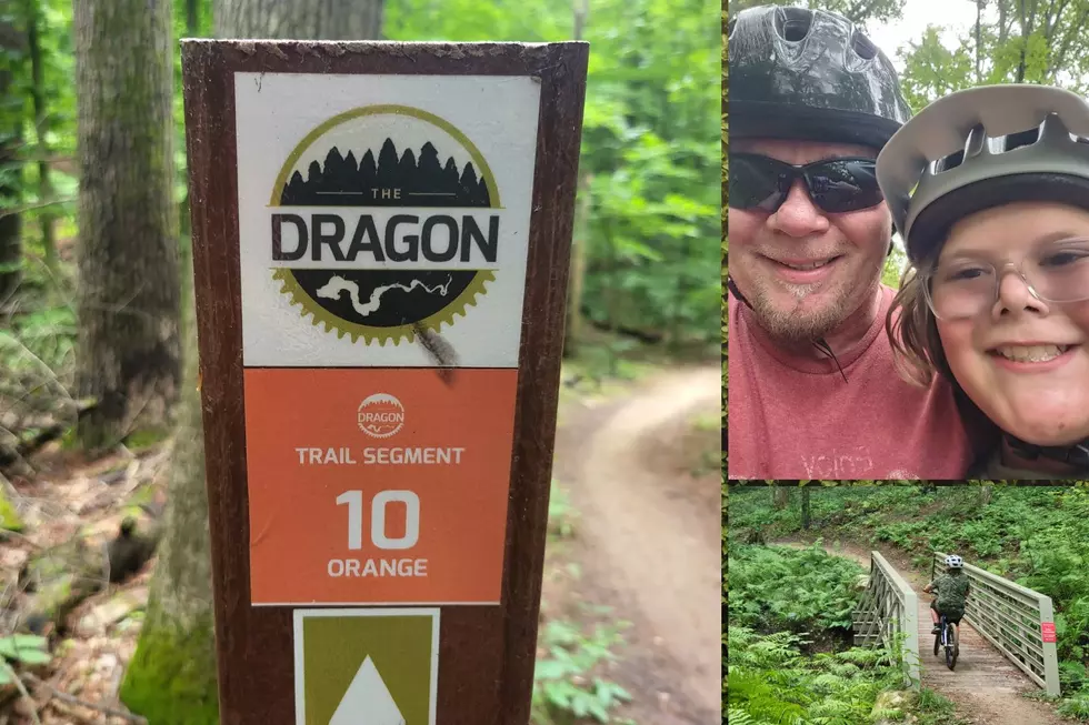 Dragon Trail in Newaygo Co is Loads of Fun on a Mountain Bike