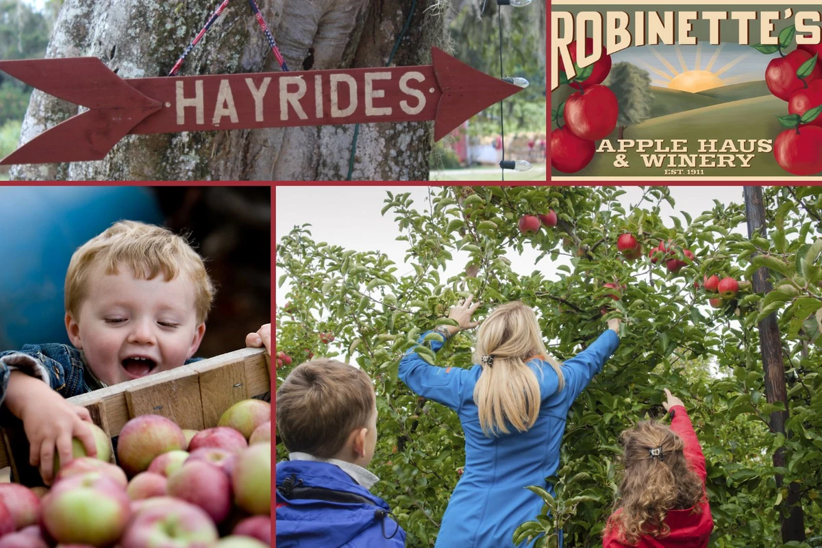 Robinette's Apple Haus & Winery Has Launched Their New Maze