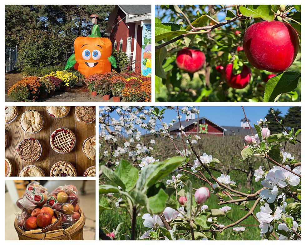 Two Michigan Apple Orchards Named Among Ten Best in the Entire Country