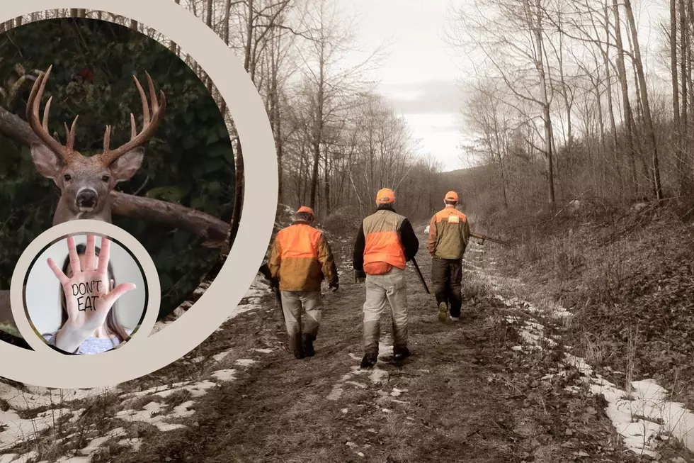 There&#8217;s One Michigan Location Where Deer Hunters Shouldn&#8217;t Eat Their Kill