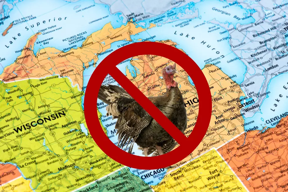Here Are 5 Pure Michigan Turkey Alternatives For Thanksgiving