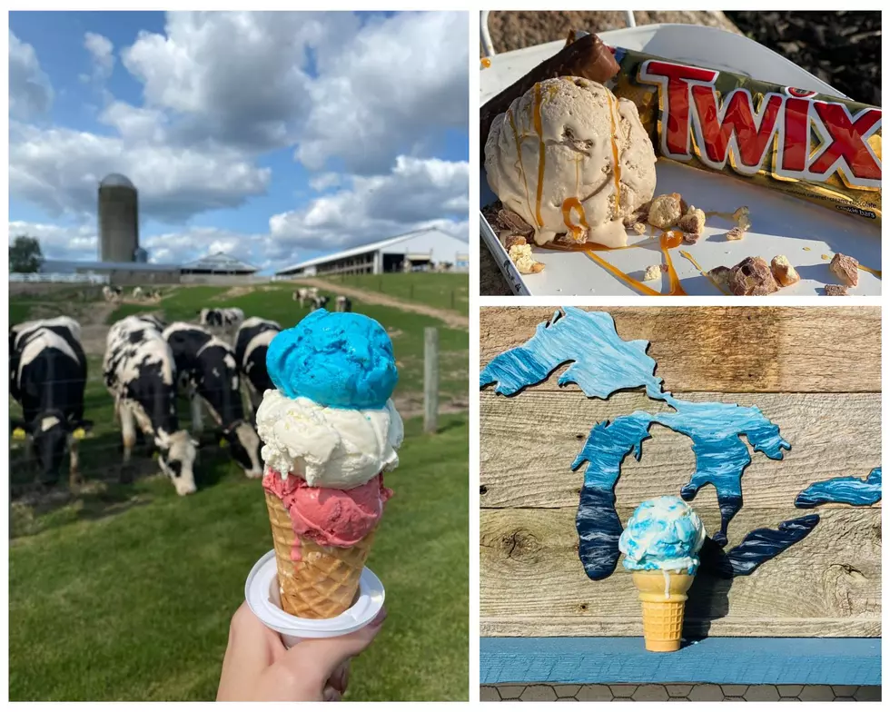 Michigan Creamery’s Ice Cream Wins Best in the Entire U.S.