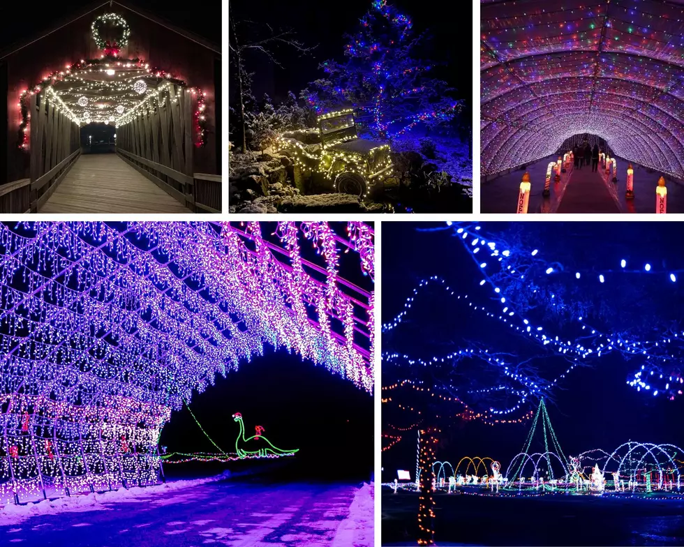 Have a Very Merry Holiday – Where to See Christmas Lights in West Michigan in 2023
