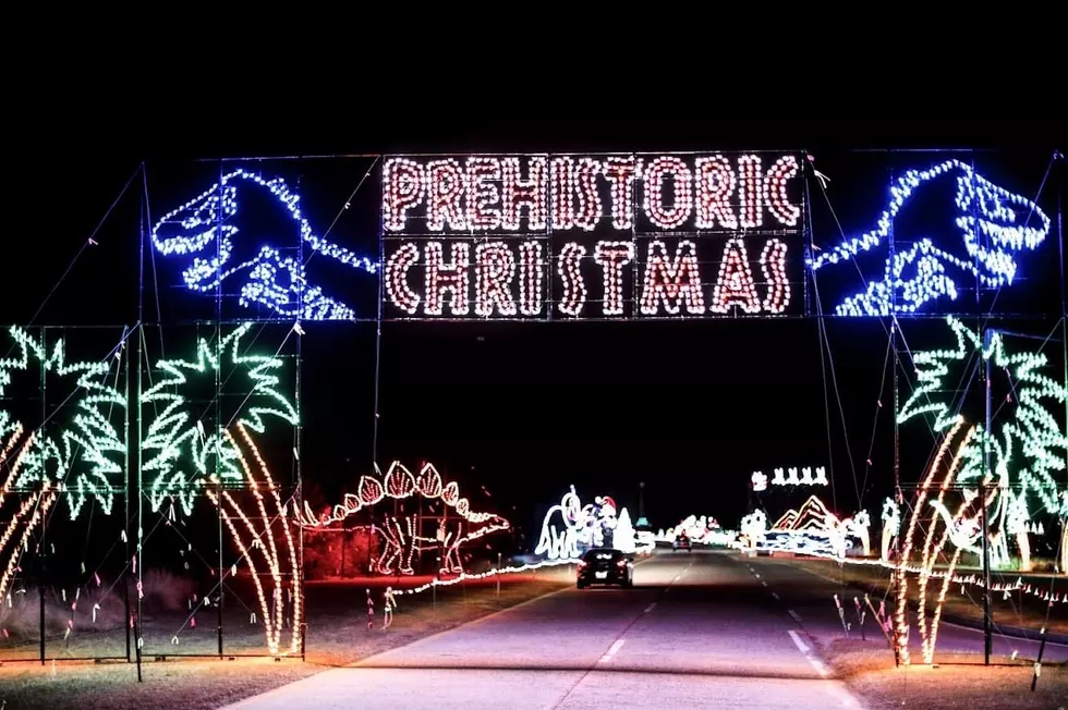 Merry Prehistoric Christmas – Michigan Holiday Display Includes Massive Lit Up Dinosaurs