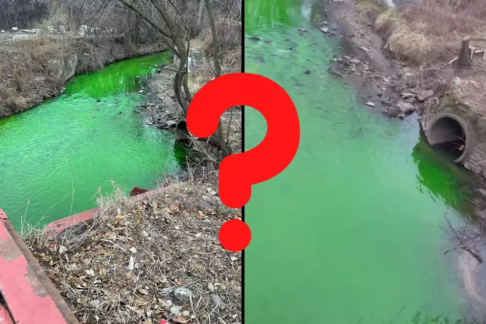 What Is Up With The Mystery Of Plaster Creek Turning Bright Green?