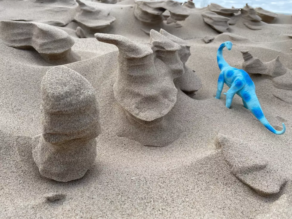 Michigan State Park Has Cool Winter Sand Formations (and a Dinosaur)