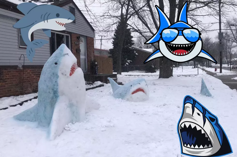 Shark? No That Is Just Some Sharks Made of Snow in a Michigan Yard