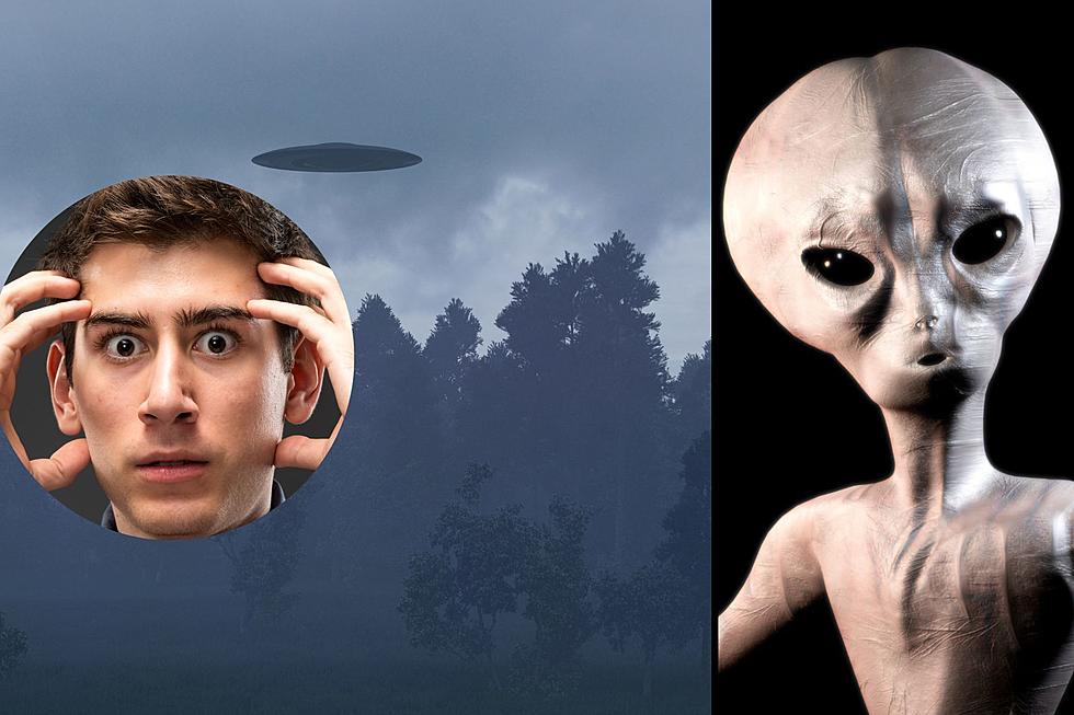 Find Out Where Michigan Ranks Among States Whose Obsessed With UFOs