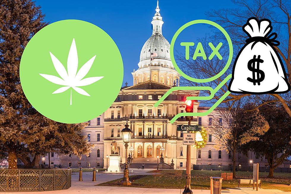 How Much Money Does State of Michigan Get From Marijuana Sales?