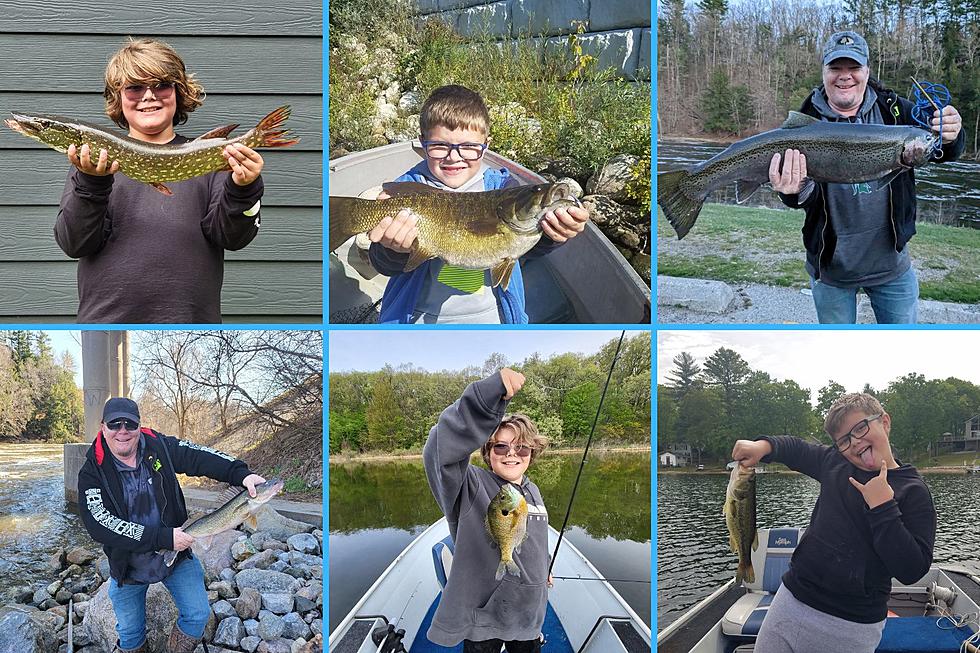 The Dates You Need to Know About Michigan&#8217;s 2023 Fishing Seasons
