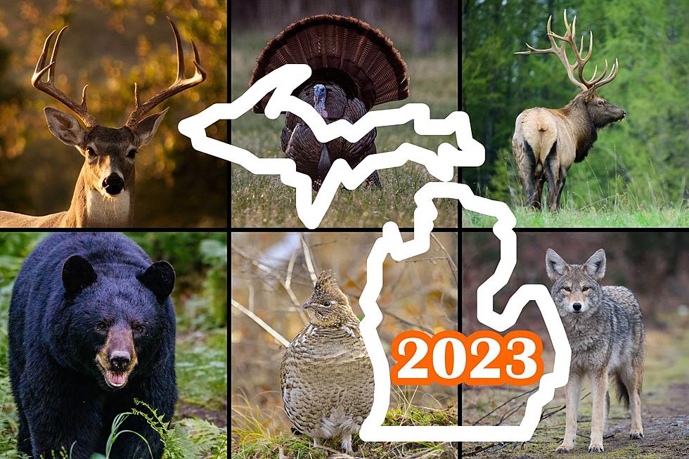 The Dates You Need to Know About Michigan’s 2023 Hunting Seasons