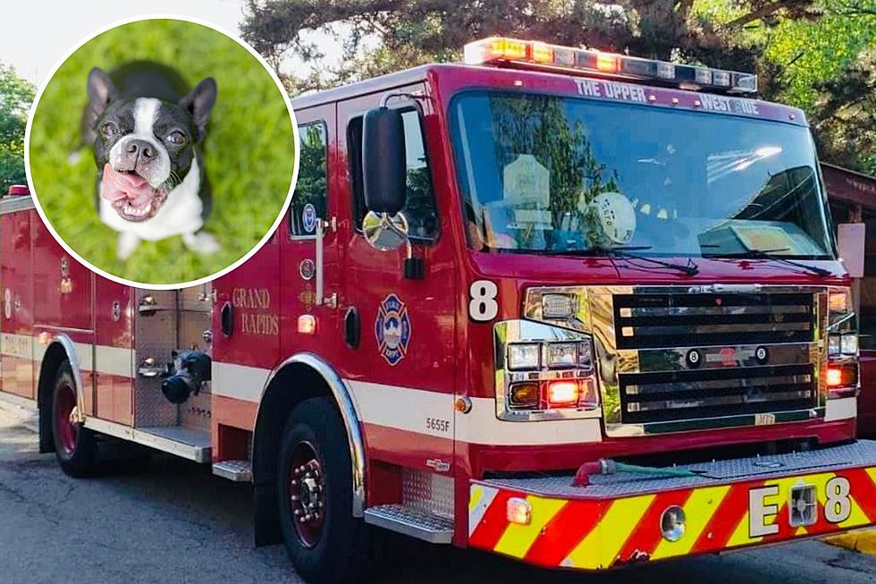 Grand Rapids Firefighters Rescue 13 Year Old Dog From Grand River