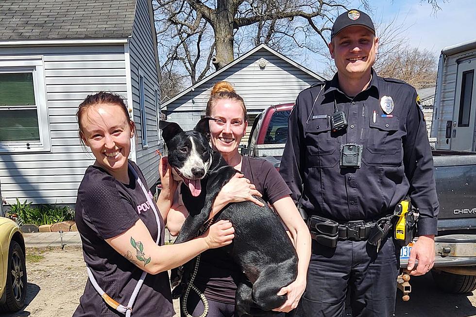 Dog Rescued from US-31 in Muskegon
