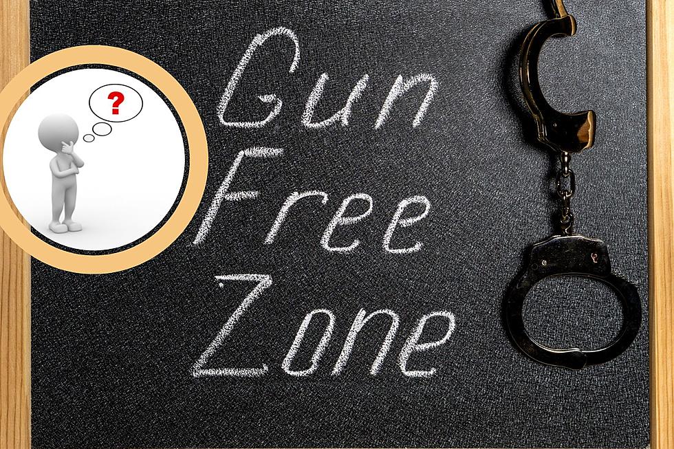 Is Your Neighborhood About to Become a Gun-Free Zone in Michigan?