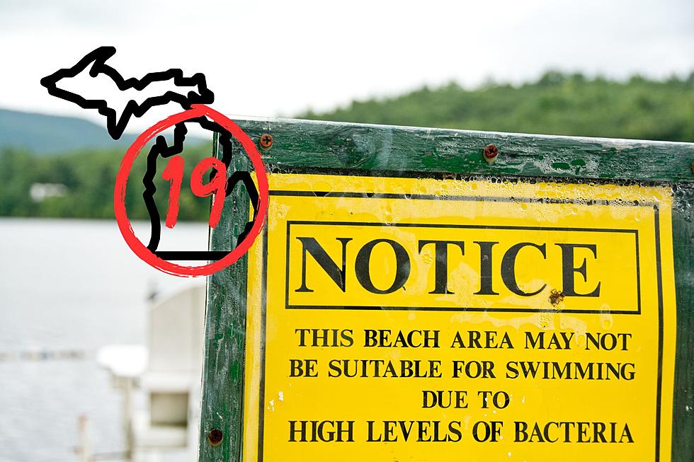 Michigan Beaches to Avoid For July 4th Weekend With High Bacteria Levels