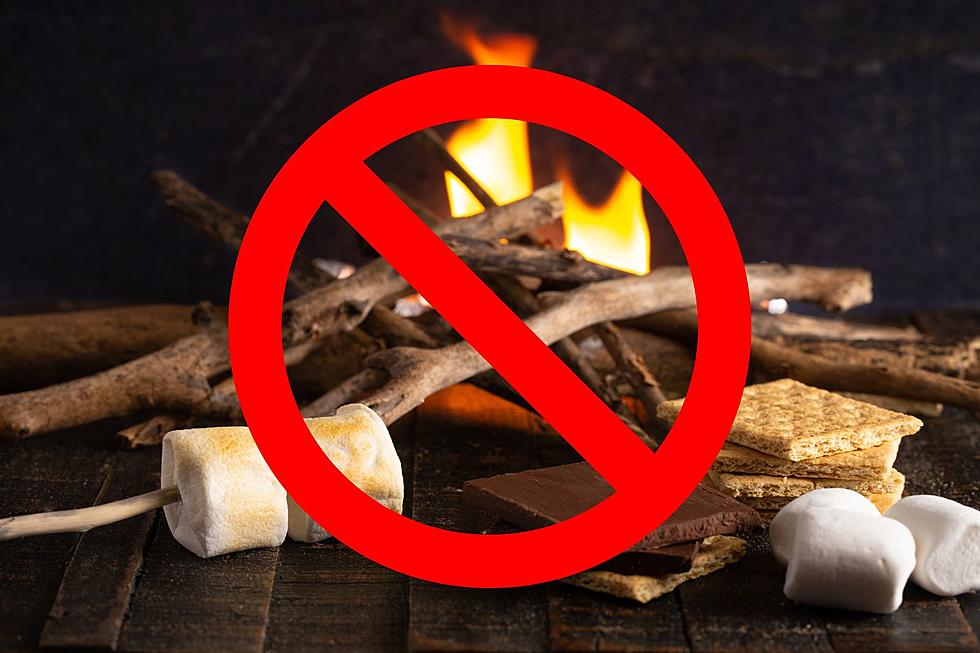 Michigan Campers Leave the S&#8217;mores at Home &#8211; DNR Says Avoid Building Fires