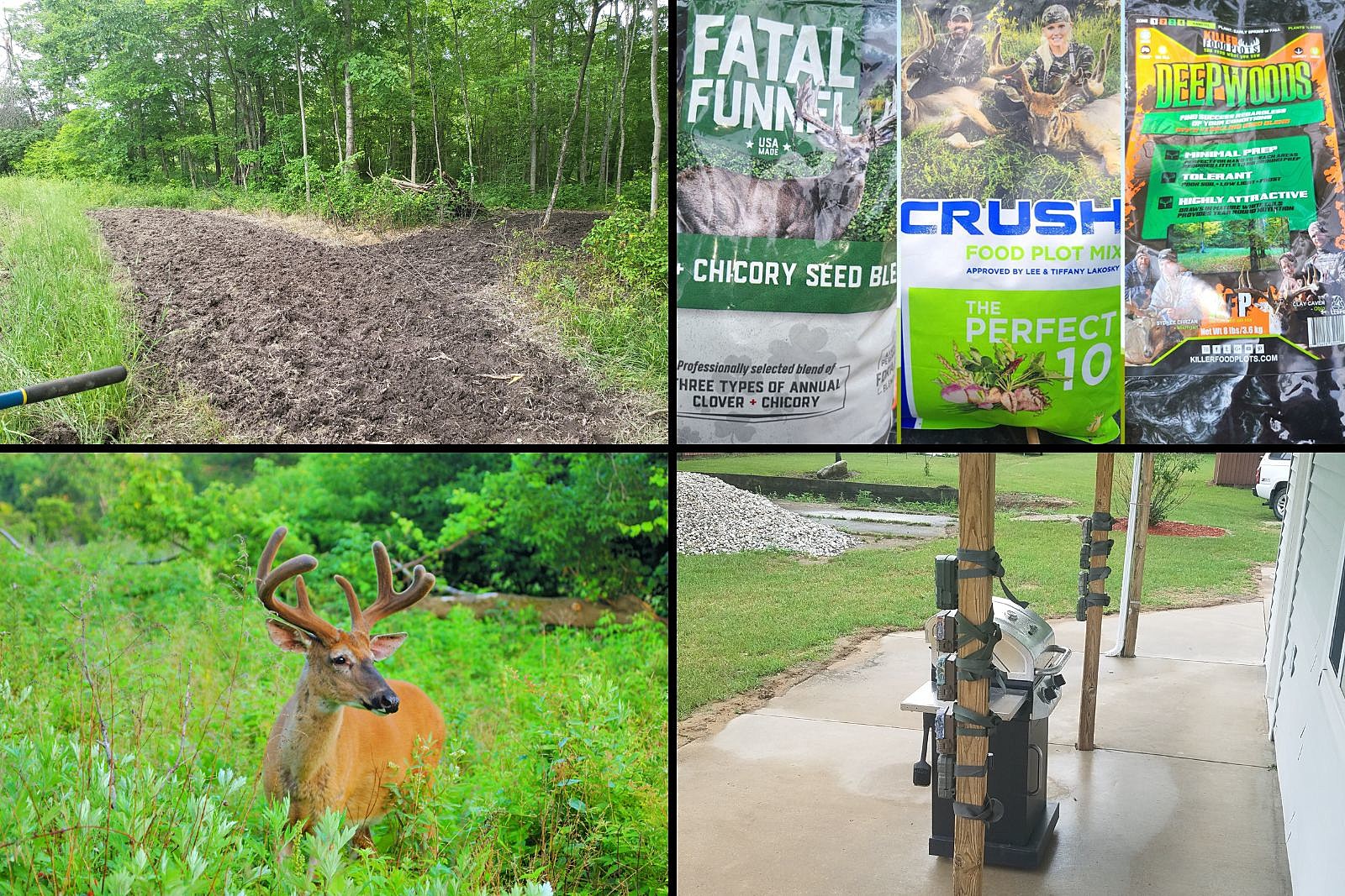July Is Great to Set Trail Cameras & Plant Food Plots For MI Deer